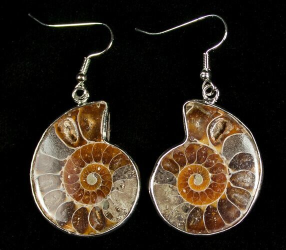 Ammonite Earrings #4510